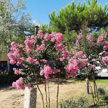Tent On A Campsite, Near The Beach, Beautiful Lucca At 27 Km Luksustelt *